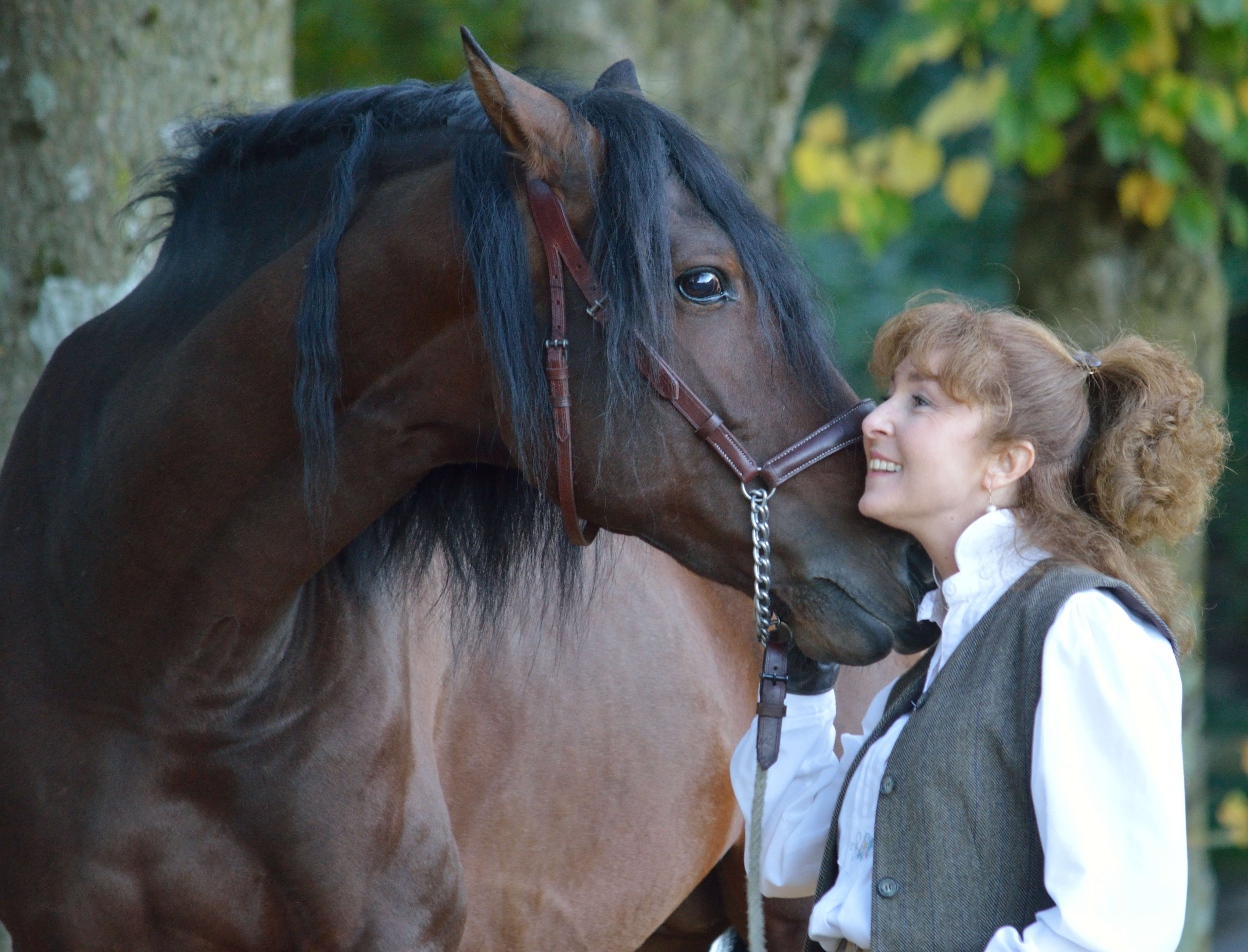 Cavaldor - Caroline Leu