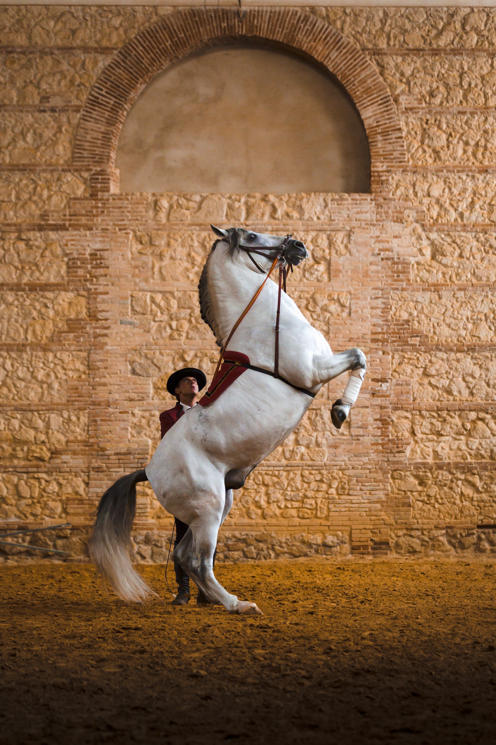 Cavaldor - Jerez de la Frontera